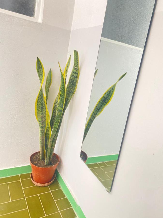Best Rooms- Quarto 2 Plateau プライア エクステリア 写真